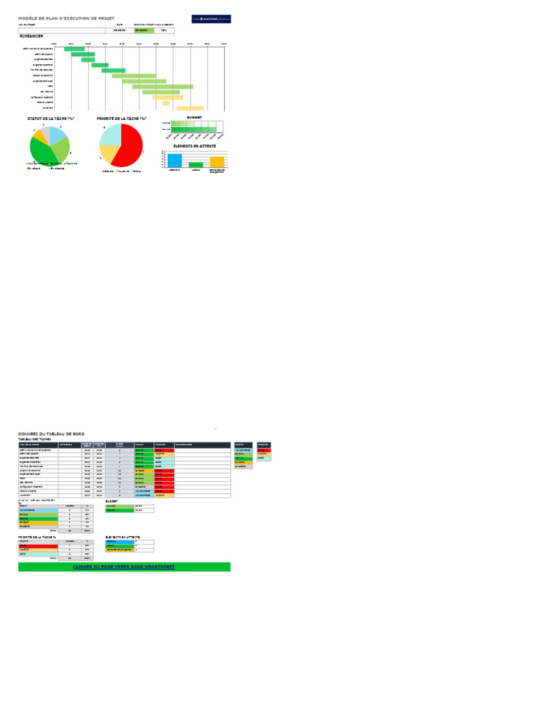 IC Pre Project Exe Plan | PDF