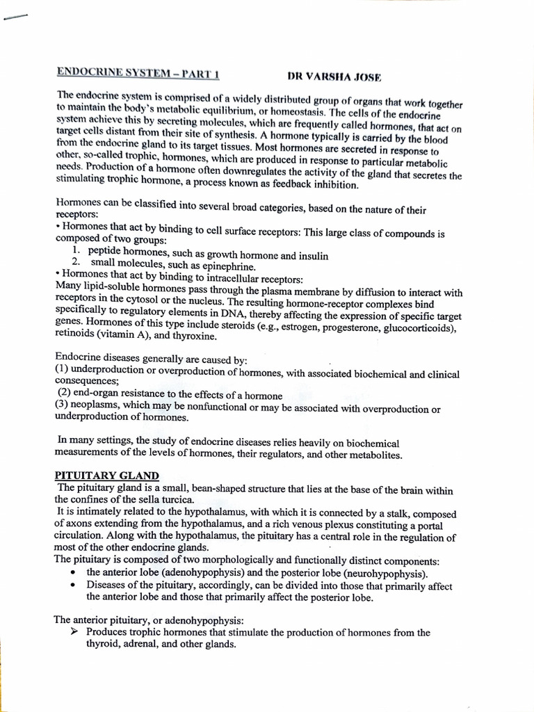 Endocrine System 1 Pdf