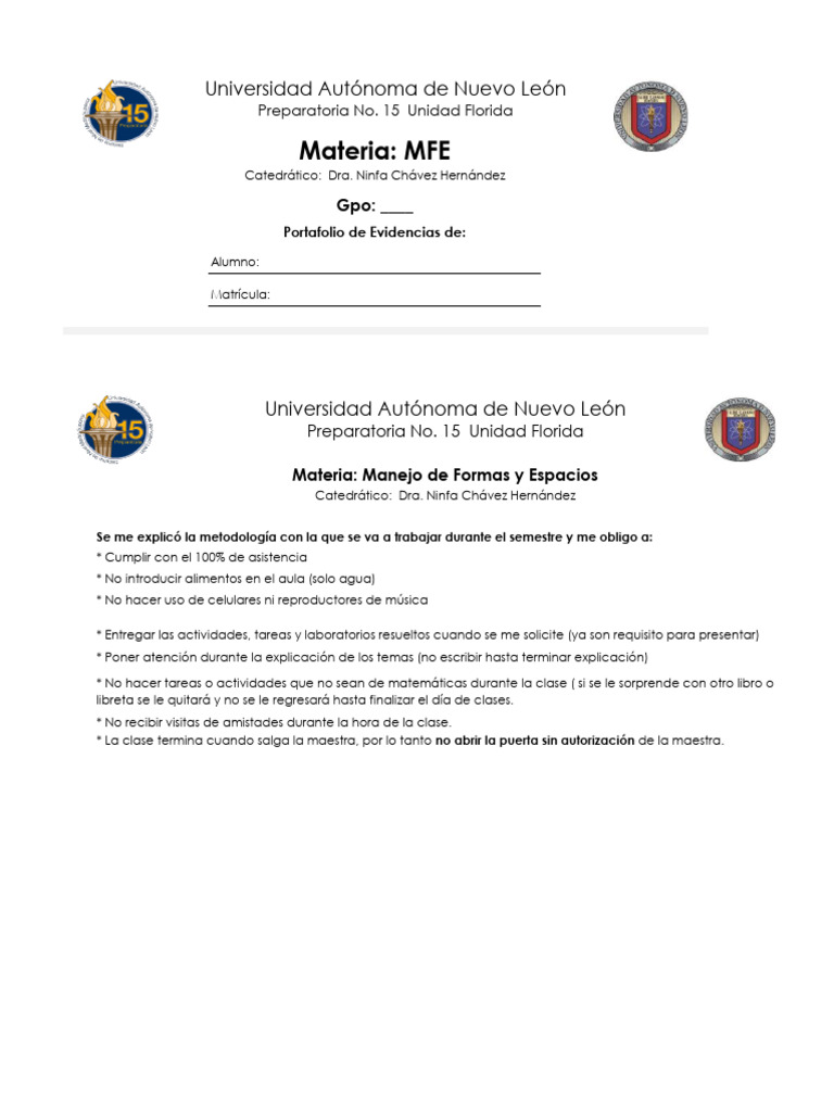 Etiqueta y Reglas MFE | PDF