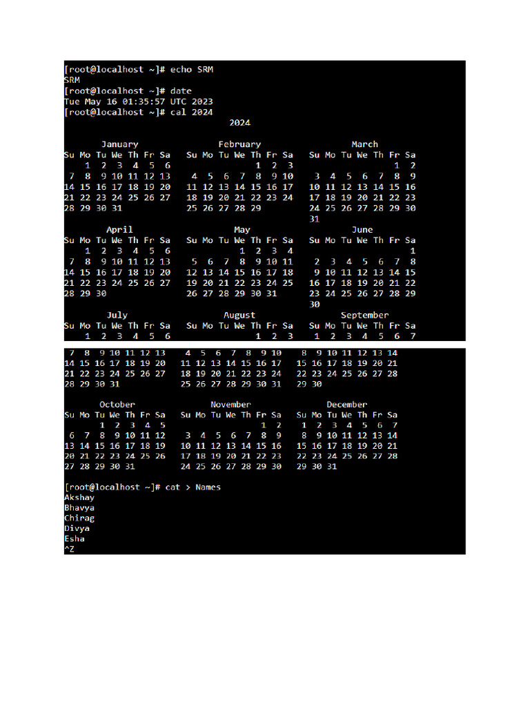 Output Os | PDF