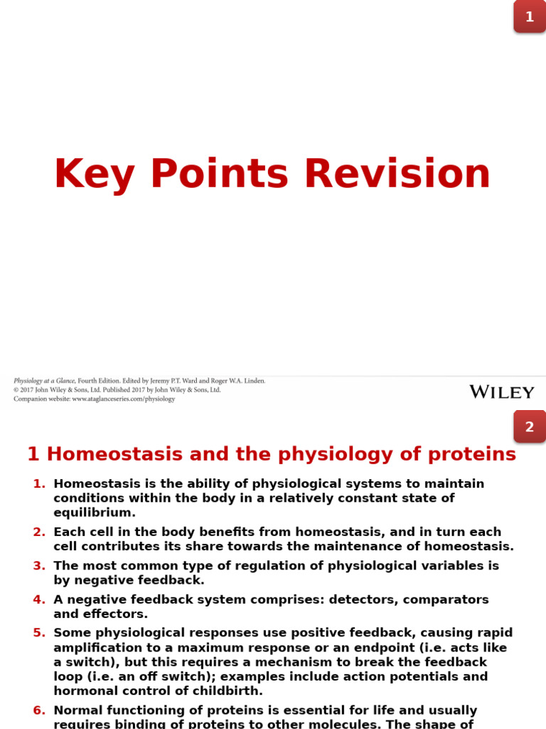 Key Points Revision | PDF | Diastole | Heart