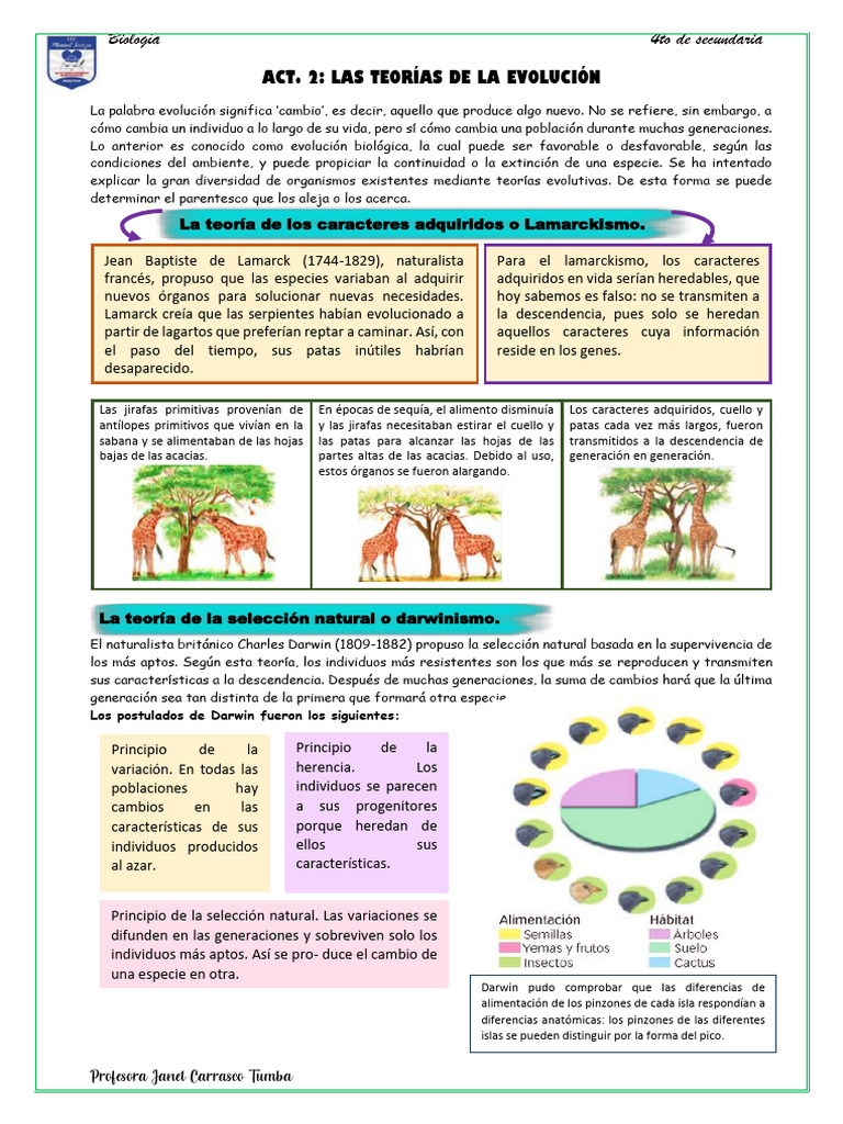 Teorías de la Evolución Biológica | PDF | Evolución | Seleccion natural