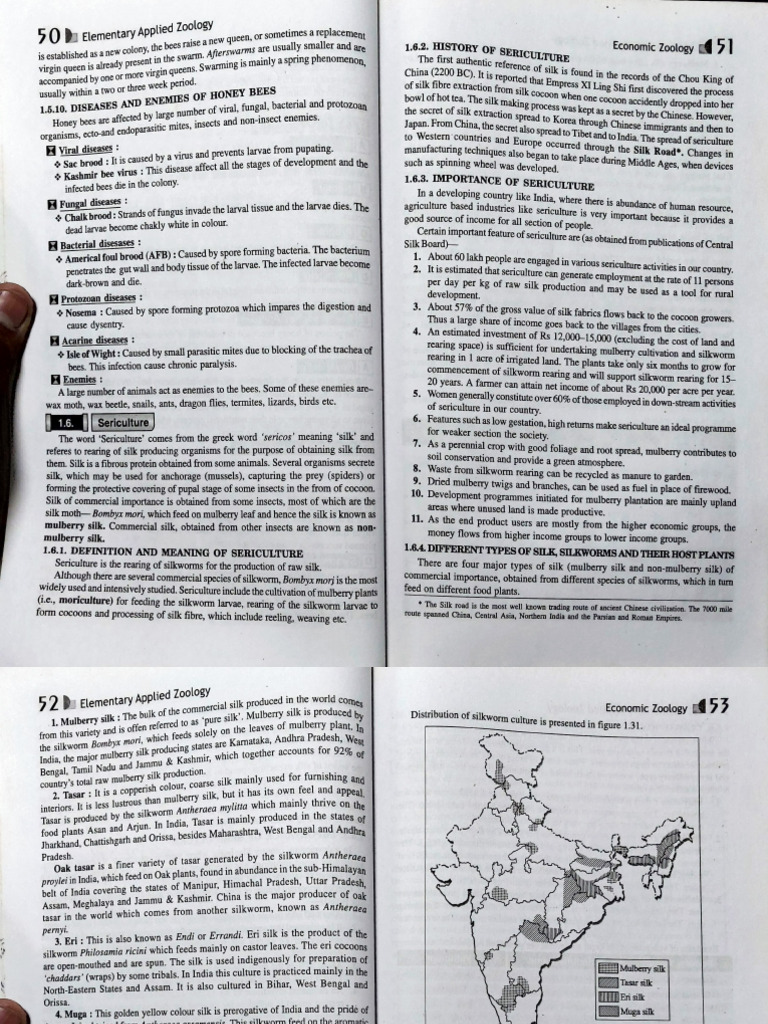 Honey Bee Diseases and Sericulture Overview | PDF | Insects
