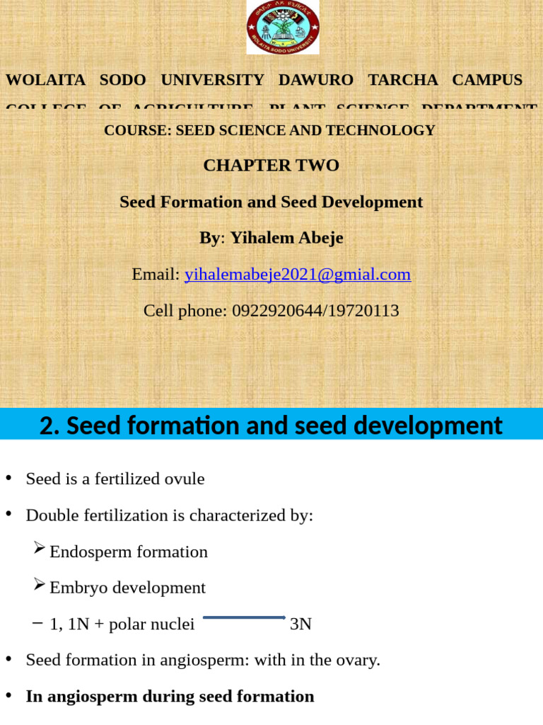 Seed Formation and Development Overview | PDF | Flowers | Seed