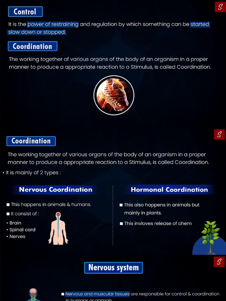 Control and Coordination in Organisms | PDF | Nerve | Central Nervous ...