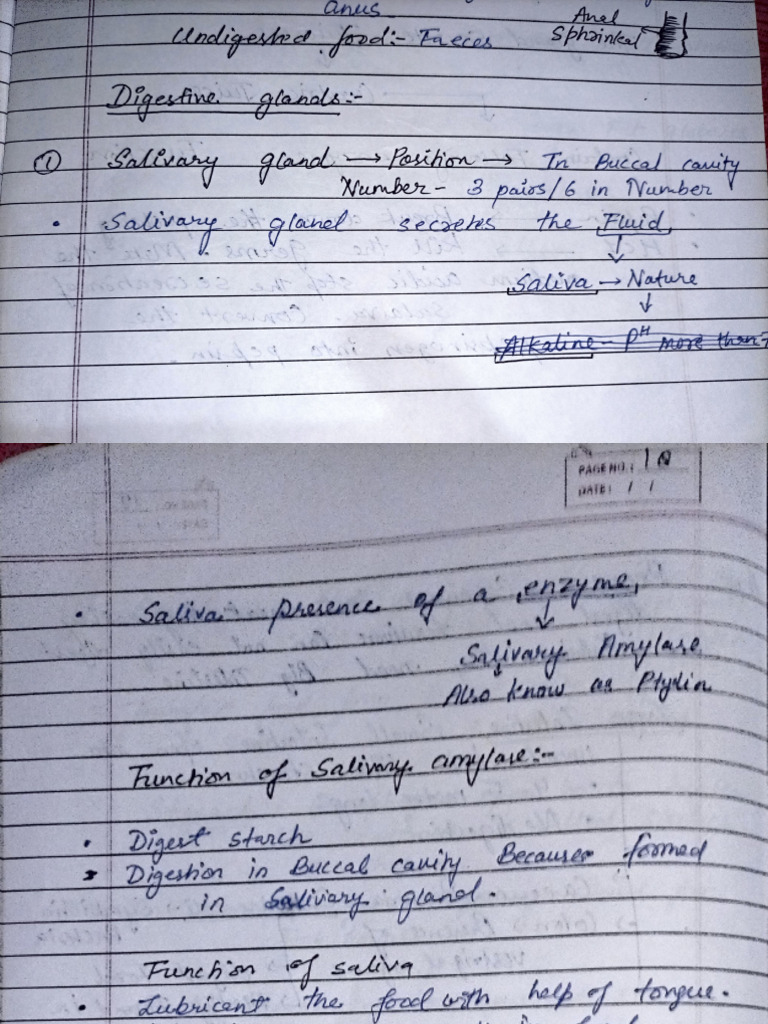 CH 1 Bio Notes | PDF
