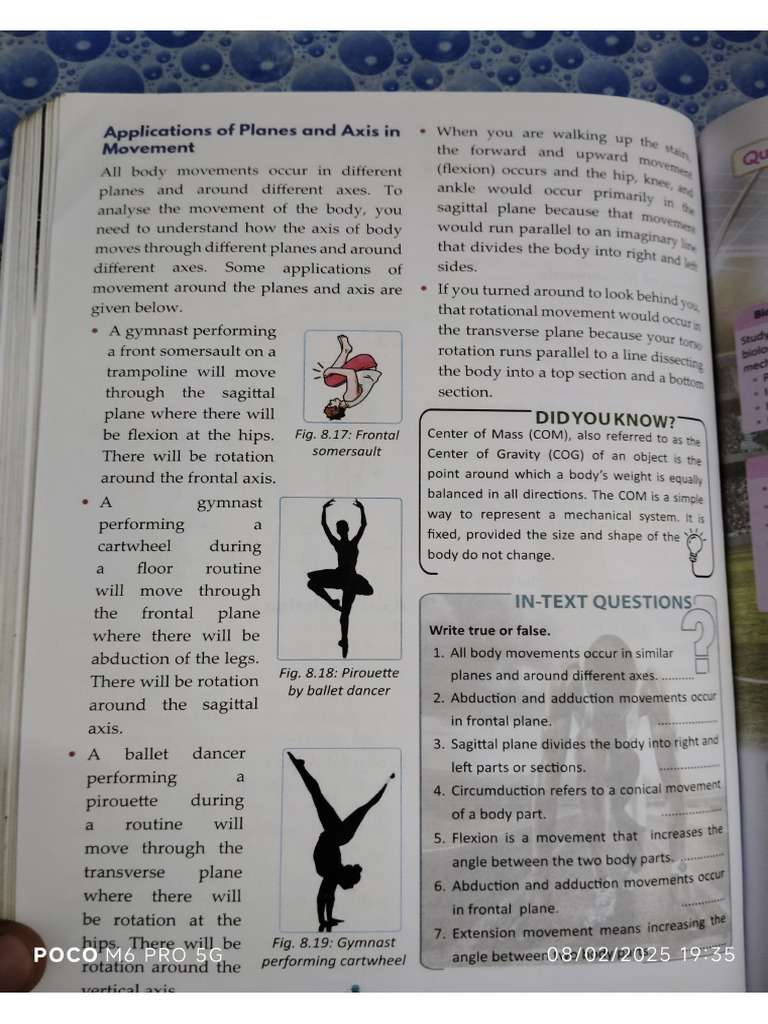 New Phe File | PDF