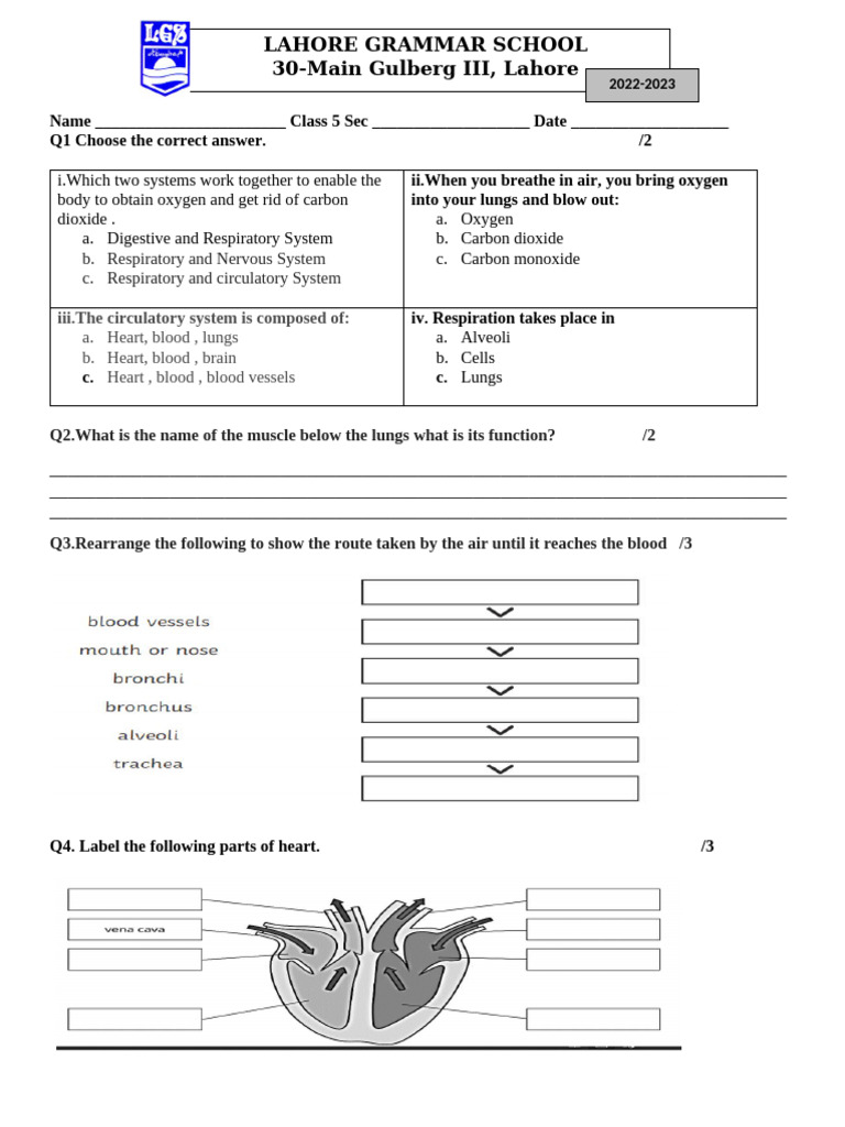 Class 5 Respiratory System Quiz | PDF | Heart | Blood