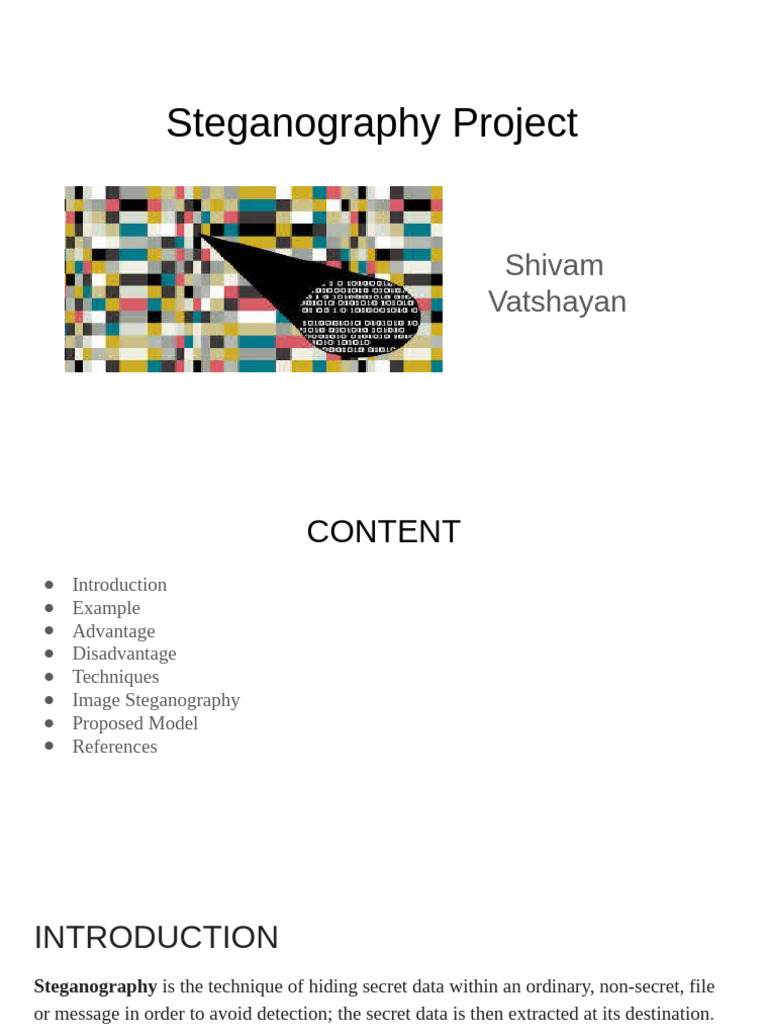 Steganography Project | PDF | Computer Science | Computing