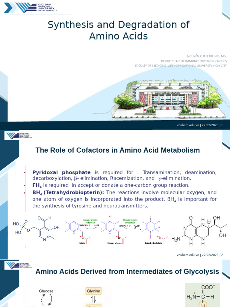 Synthesis and Degradation of Amino Acids | PDF | Amino Acid | Alanine