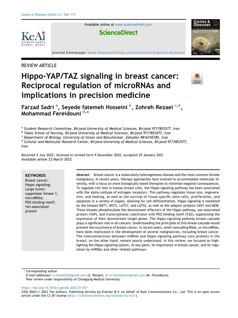 Hippo YAP TAZ signaling in breast cancer | PDF | Micro Rna | Cancer