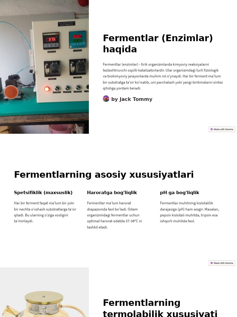 Fermentlar Enzimlar Haqida | PDF