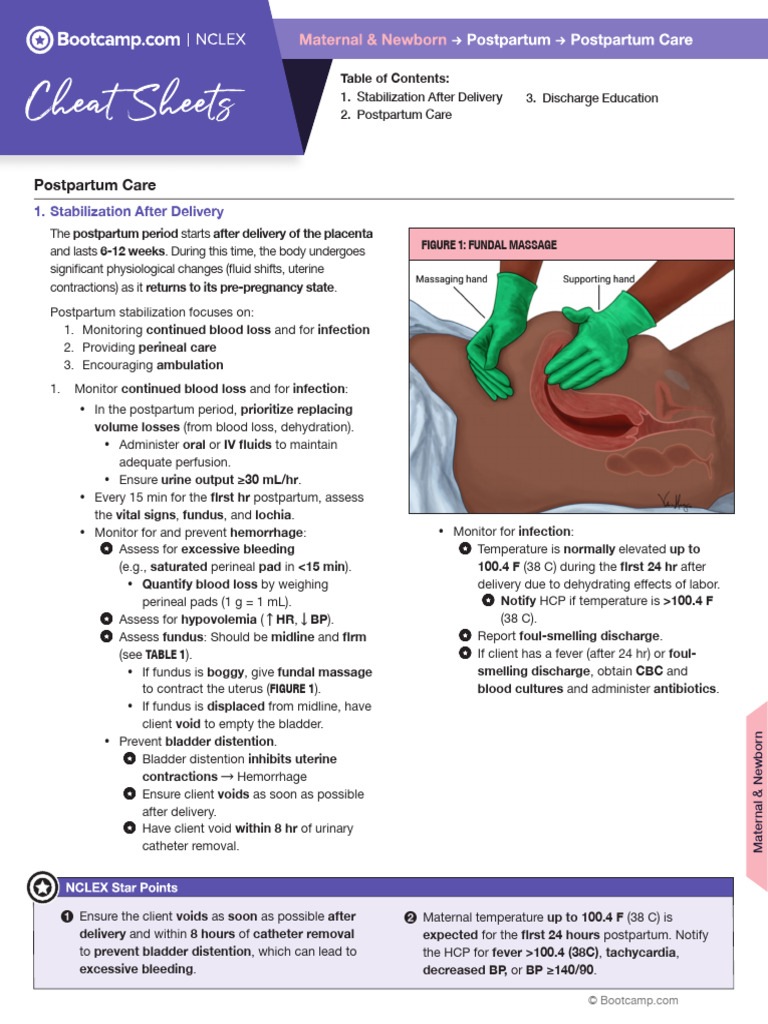 Postpartum Care and Stabilization Guide | PDF | Postpartum Period ...