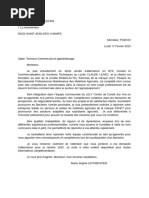 Candidature Apprenti Vendeur | PDF | volution de carrire