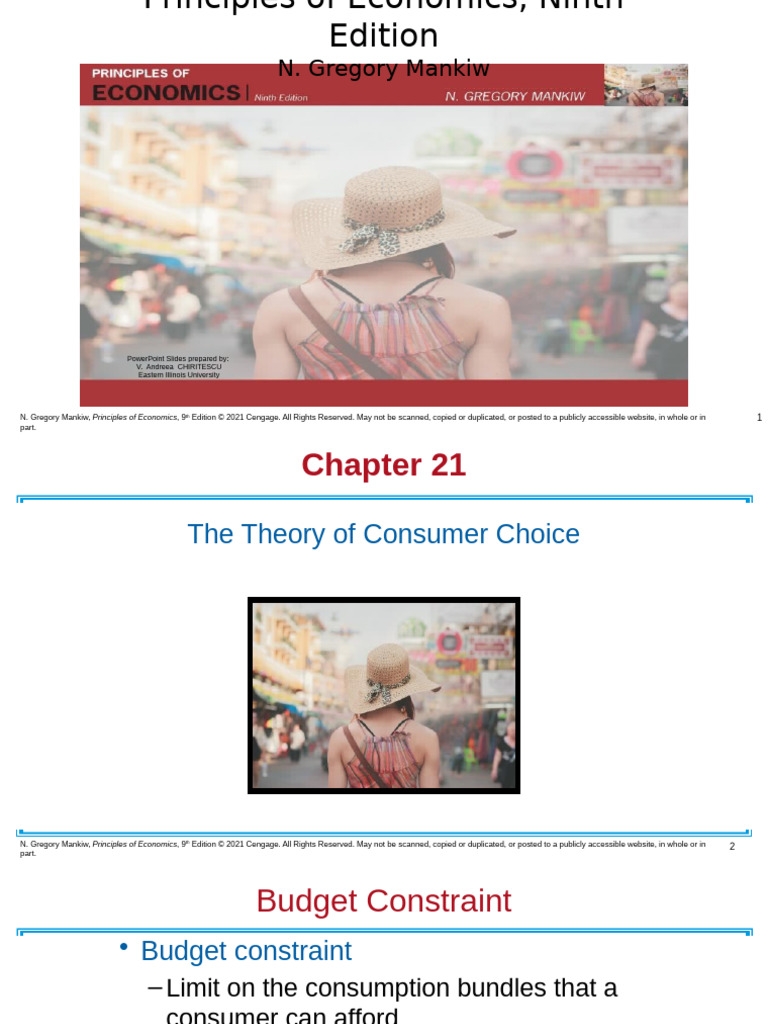 Consumer Choice Theory Explained | PDF | Labour Economics | Economics
