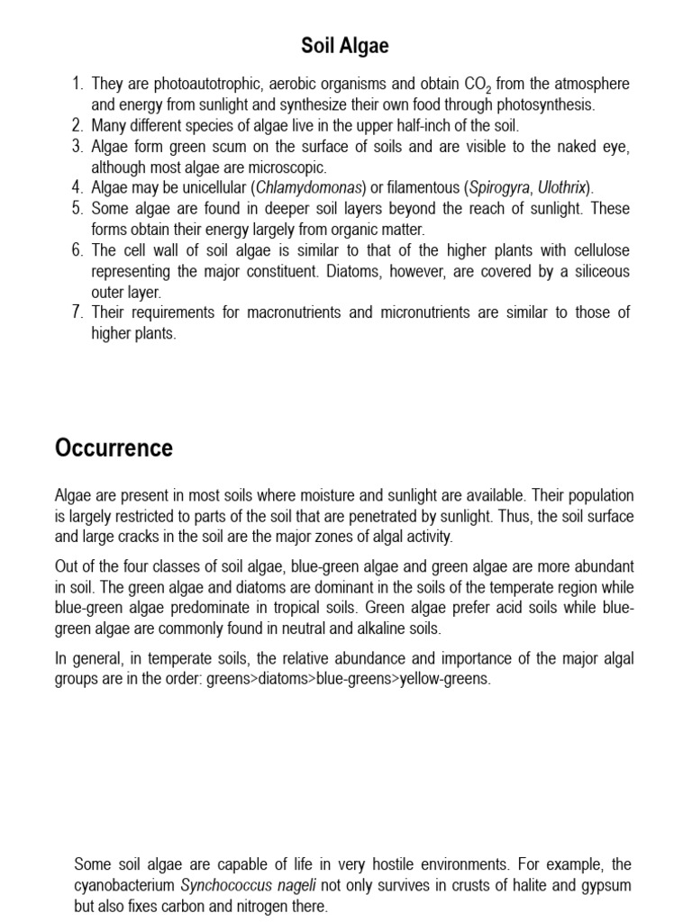 Soil Algae | PDF | Algae | Cyanobacteria