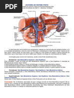 Anatomia do Sistema Venoso Ázigo | PDF | Fígado | Abdômen