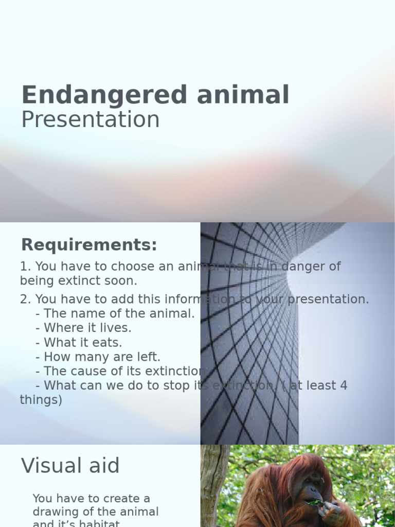 Endangered Species Project Guide | PDF