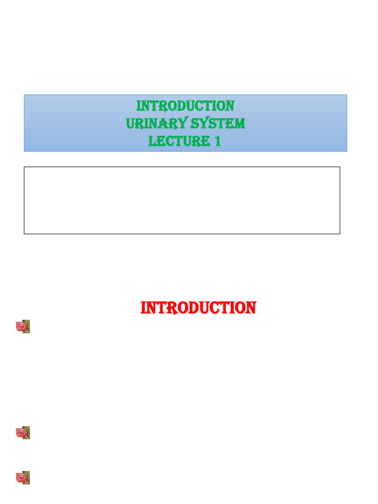 Overview of Urinary System Functions | PDF | Kidney | Creatinine