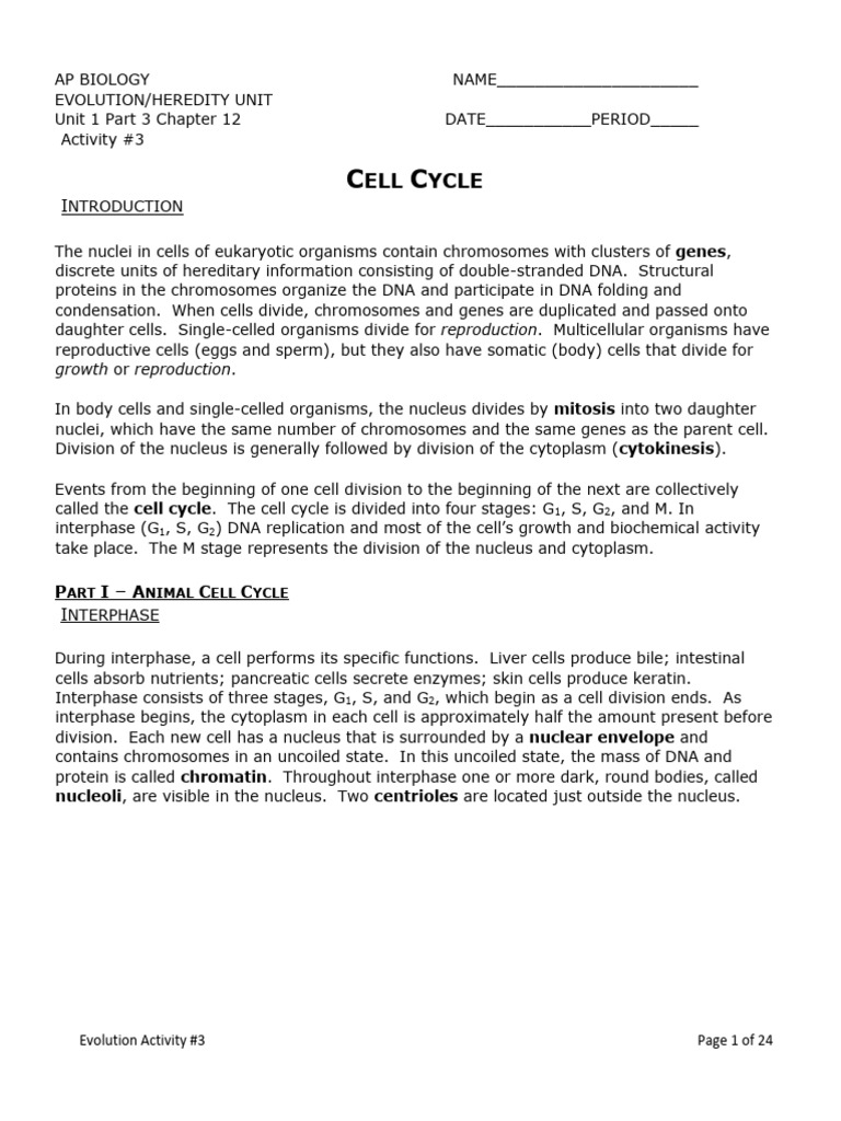 Unit 1 Part 3 Mitosis | PDF | Mitosis | Chromosome