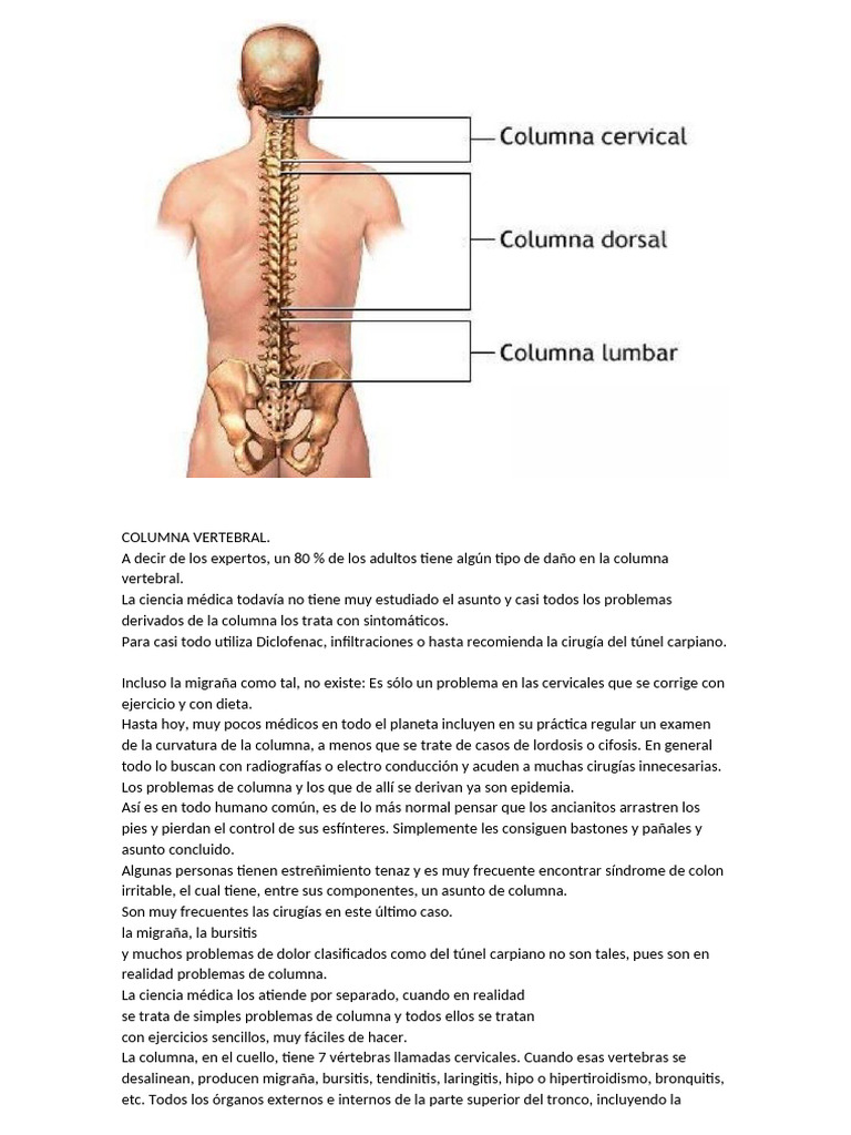 Ejercicios para corregir la columna vertebral | PDF | La columna ...