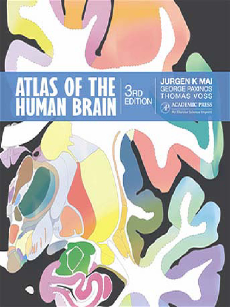 ATLAS Human Brain | PDF | Magnetic Resonance Imaging