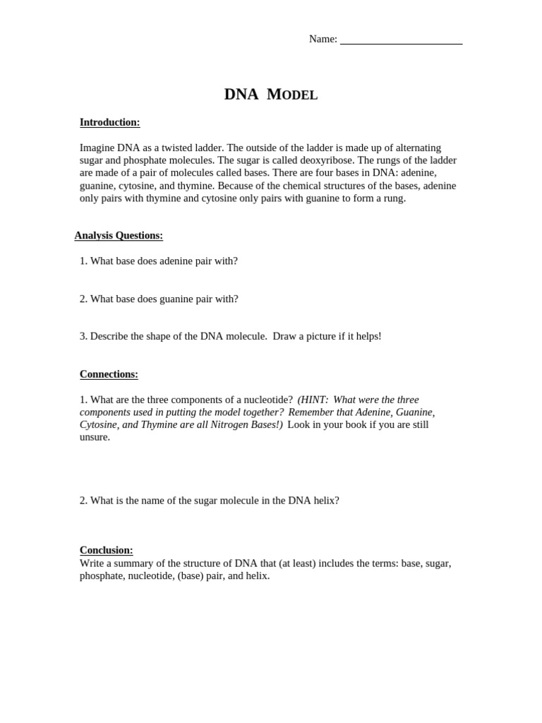 DNA Structure and Model Overview | PDF