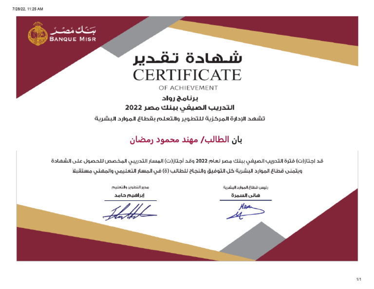 Banque Masr | PDF