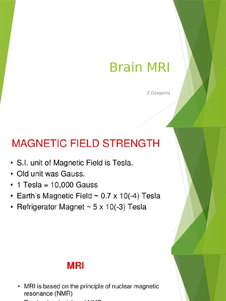 Brain Mri Pdf
