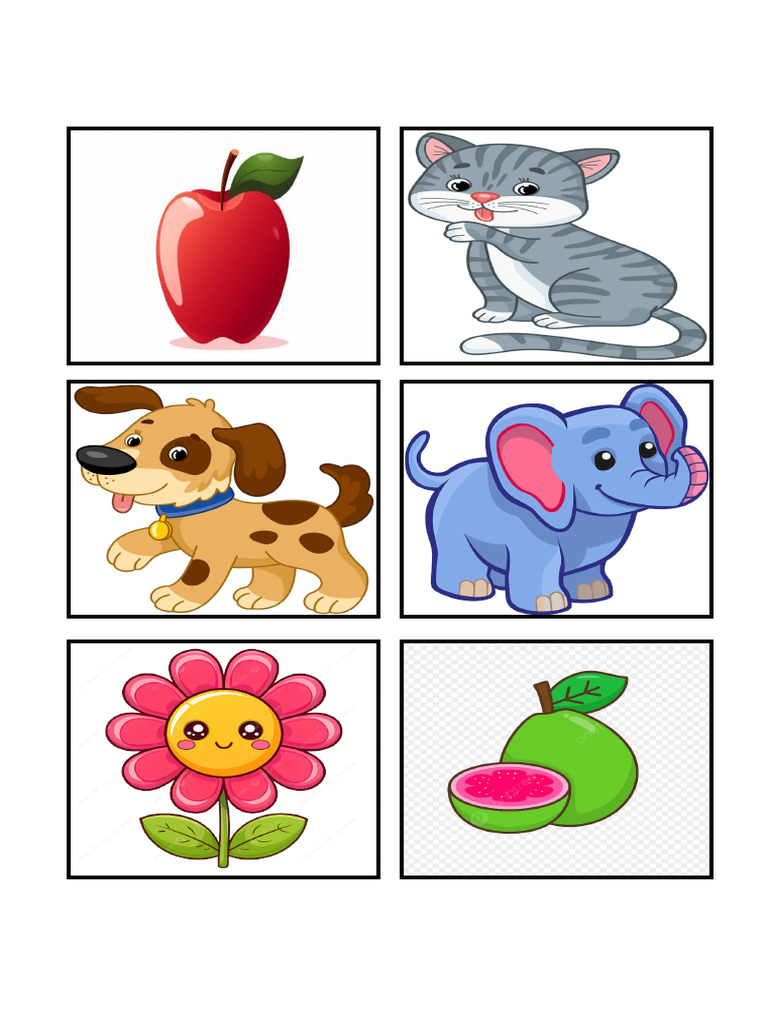 Baby Colour Vision | PDF