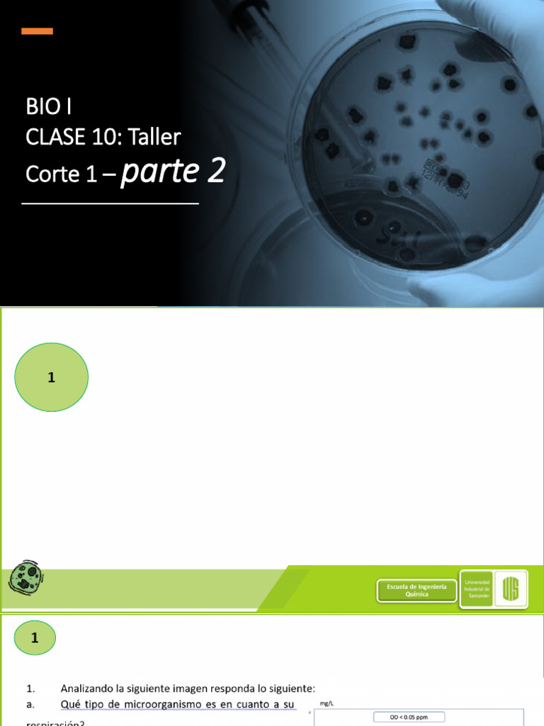 Clase 11 Bio I. Jje Taller 1 Parte 2 2025 | PDF