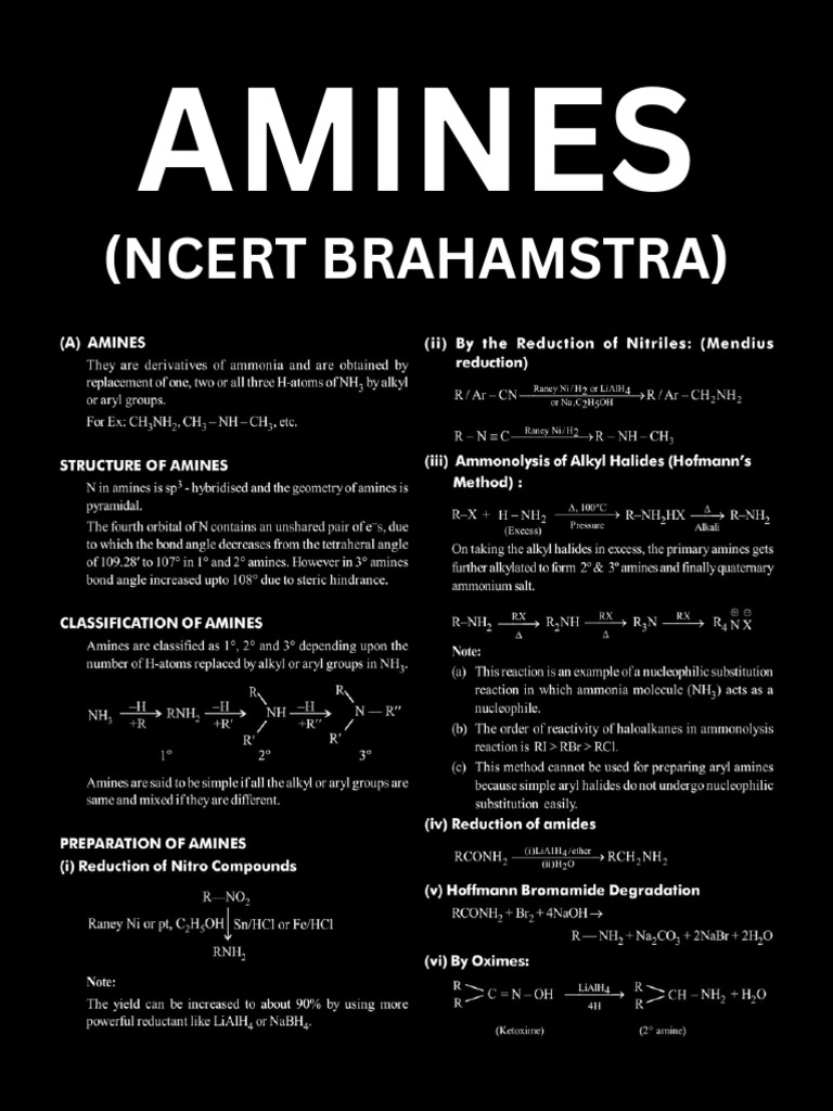 Amines PDF | PDF