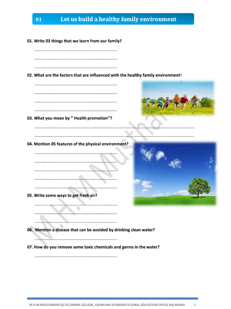 Grade 7 Health & Physical Education Worksheer | PDF