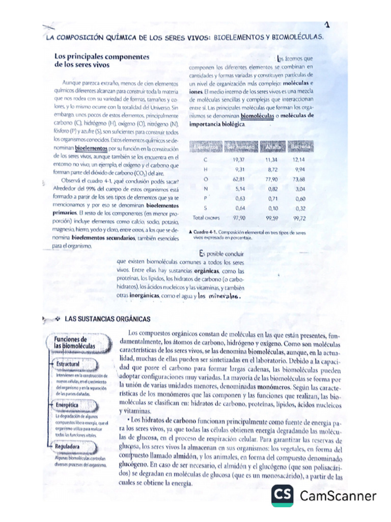La Composicion Quimica de Los Seres Vivos Bioelementos y Biomoléculas | PDF