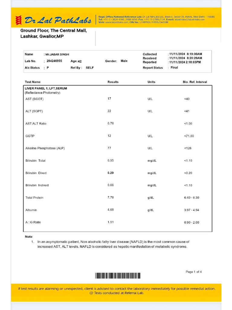 Report Lab | PDF