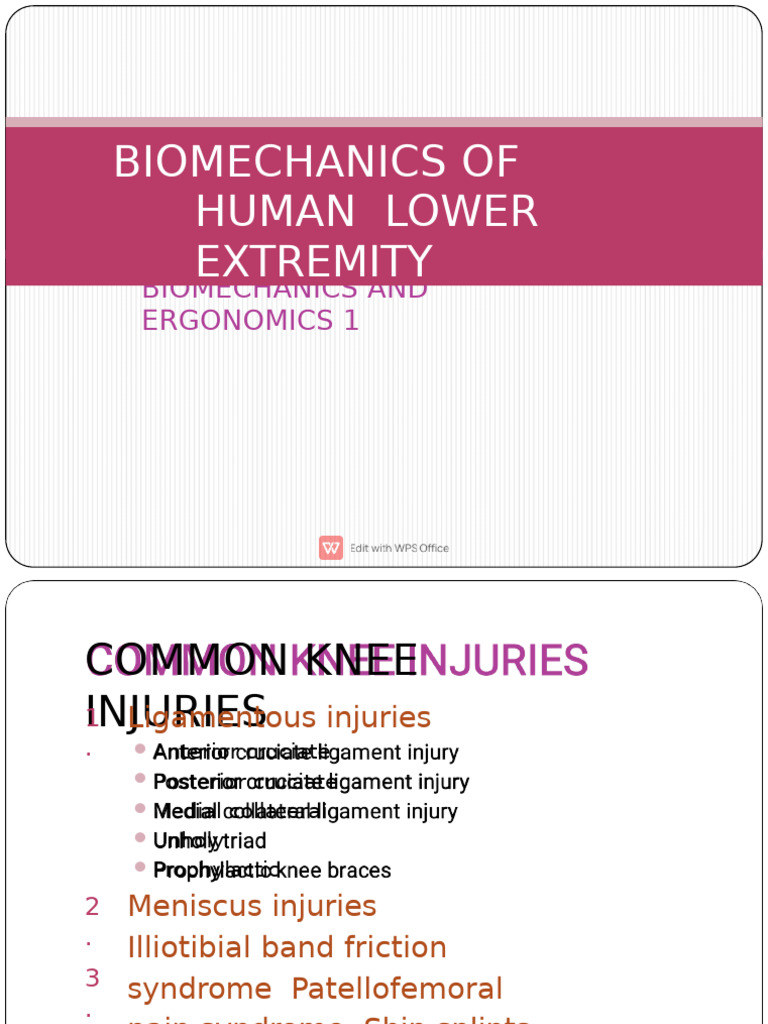 Common Knee Injuries in Sports | PDF | Knee | Lower Limb Anatomy