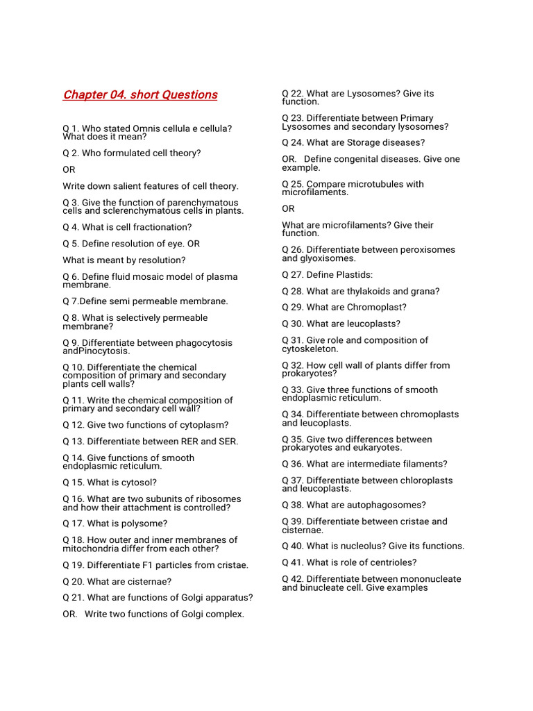 Chapter 4 Key Biology Questions Pdf Cell Biology Endoplasmic