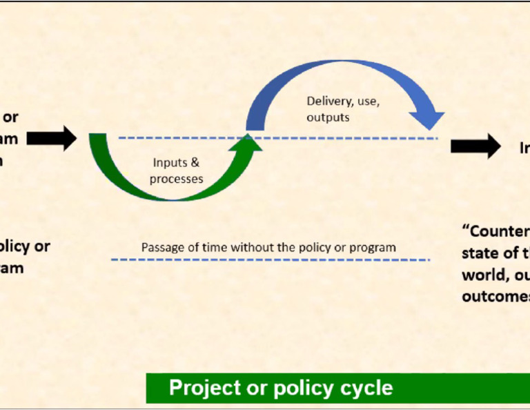 Project or Policy Cycle | PDF
