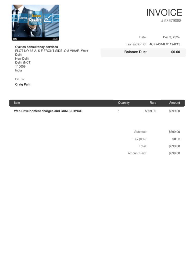 Craig Pahl Invoice | PDF | Payments | Economies