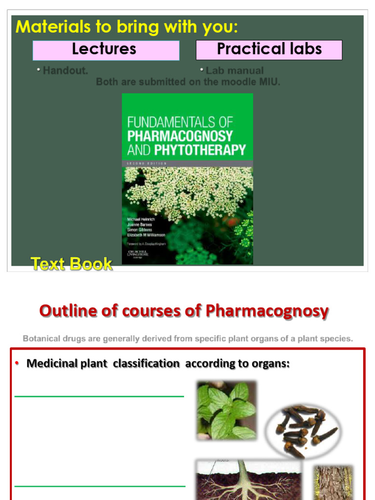 1) Introduction of Leaves | PDF | Leaf | Plant Stem