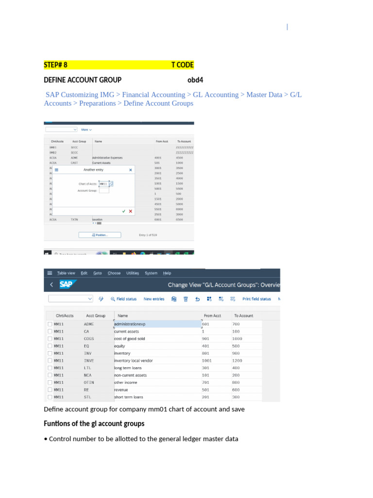 SAP GL Account Group Configuration Guide | PDF | Financial Accounting ...