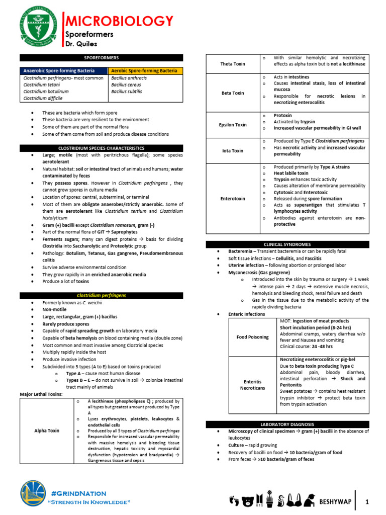 Microbiology 18 Pdf Bacteria Anthrax