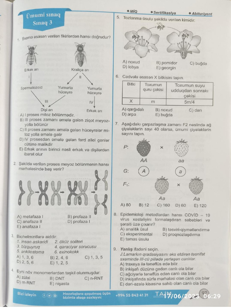 Ümumi Sınaq-3. TAİM | PDF