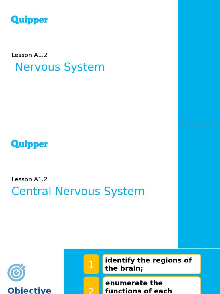 Understanding the Central Nervous System | PDF | Vertebral Column ...