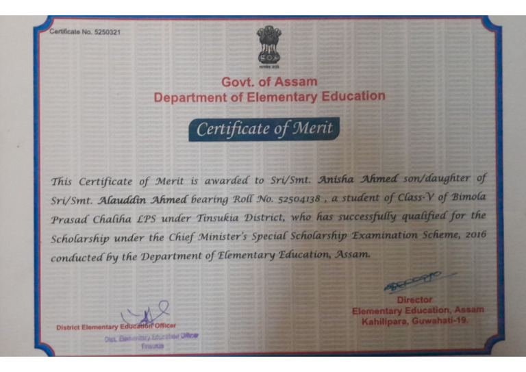 Merit Certificate | PDF