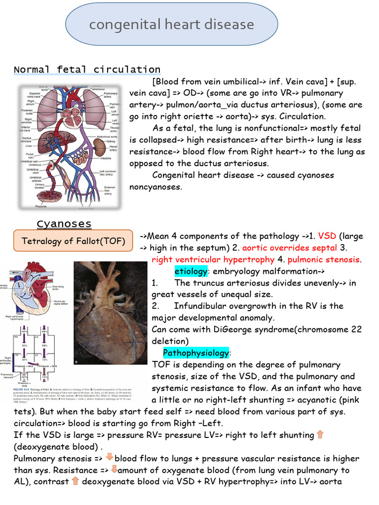 Fetal Circulation and Congenital Heart Defects | PDF | Congenital Heart ...