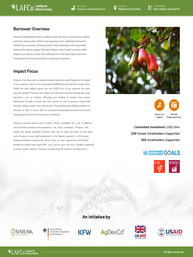 Lending For Africa Pompous | PDF | Smallholding | Economies