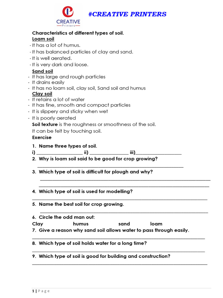 p4 Science Brief Notes and Topical Questions Disney Kindergarten and ...
