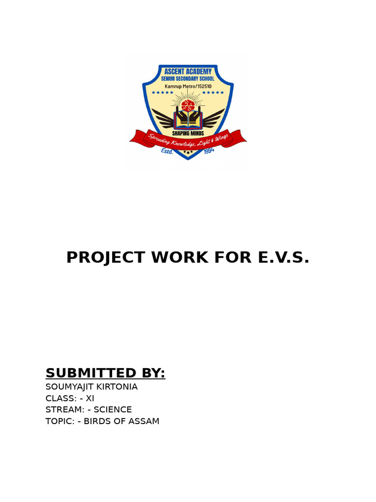 EVS Project | PDF