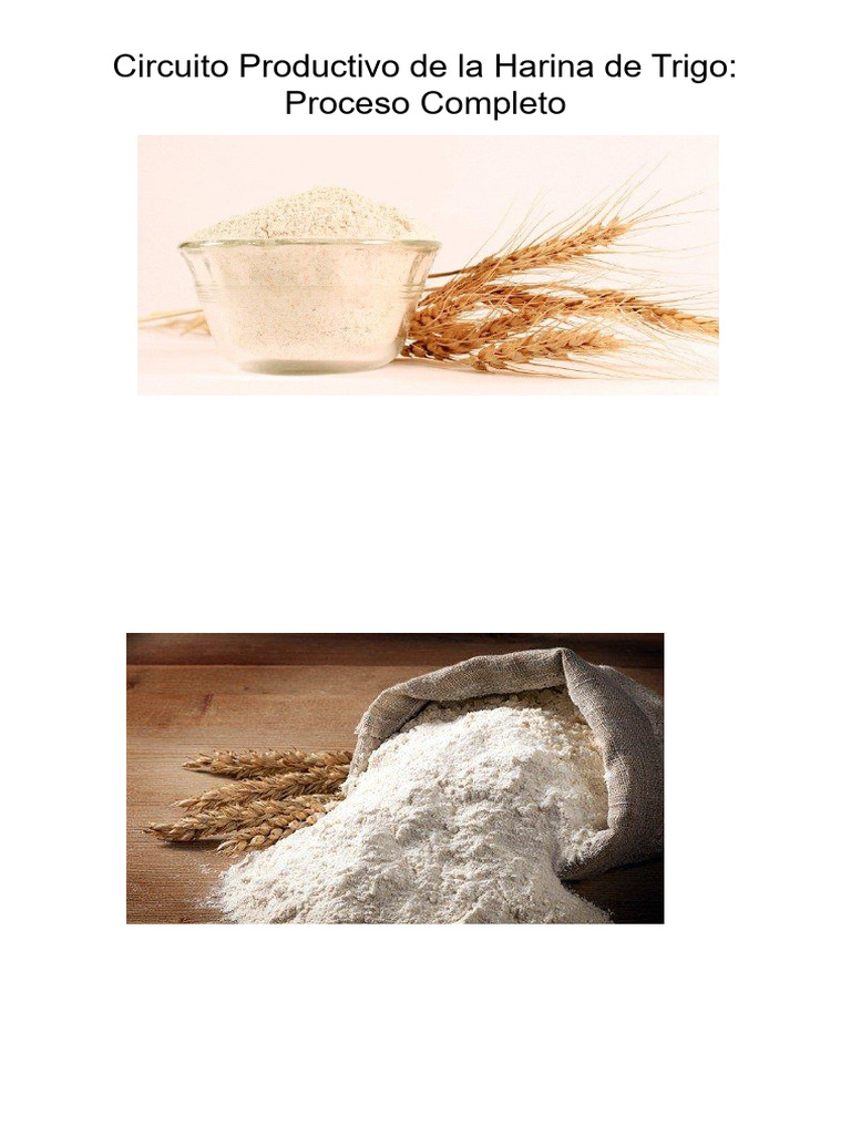 Proceso de Producción de Harina de Trigo | PDF | Trigo | Harina